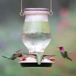 Perky-Pet Rose Gold Top-Fill Glass Hummingbird Feeder -Sunny Decor Shop 355166 PT2. AC SS1800 V1640043437
