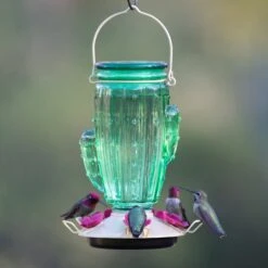 Perky-Pet Cactus Top-Fill Glass Hummingbird Feeder -Sunny Decor Shop 355168 PT1. AC SS1800 V1640042803