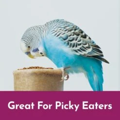 Kaytee NutriSoft Parakeet & Cockatiel Bird Food, 2-lbs -Sunny Decor Shop 357102 PT2. AC SS1800 V1657657126