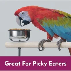 Kaytee NutriSoft Macaw & Cockatoo Bird Food, 3-lbs -Sunny Decor Shop 357106 PT2. AC SS1800 V1657657126