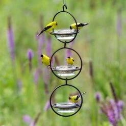 Mosaic Birds Hummble Bold Bird Feeder, Cooper -Sunny Decor Shop 357263 PT3. AC SS1800 V1660240270