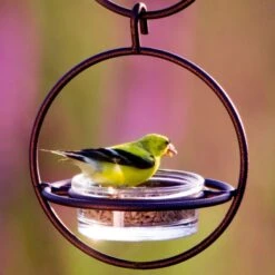 Mosaic Birds Hummble Bold Bird Feeder, Cooper -Sunny Decor Shop 357263 PT4. AC SS1800 V1660240270