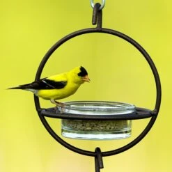 Mosaic Birds Hummble Bold Bird Feeder, Cooper -Sunny Decor Shop 357263 PT5. AC SS1800 V1660240263