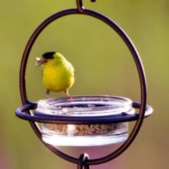 Mosaic Birds Hummble Bold Bird Feeder, Cooper -Sunny Decor Shop 357263 PT7. AC SS1800 V1660237591