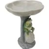 Sunnydaze Decor Polyresin Brooding Frog On Stone Outdoor Garden Bird Bath -Sunny Decor Shop 357791 MAIN. AC SS1800 V1641941271