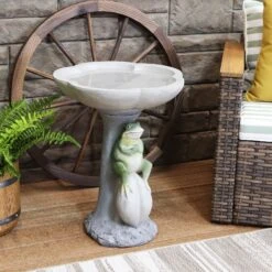 Sunnydaze Decor Polyresin Brooding Frog On Stone Outdoor Garden Bird Bath -Sunny Decor Shop 357791 PT1. AC SS1800 V1641945707
