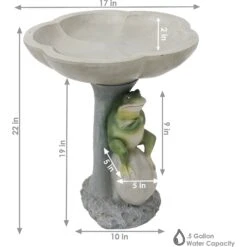 Sunnydaze Decor Polyresin Brooding Frog On Stone Outdoor Garden Bird Bath -Sunny Decor Shop 357791 PT3. AC SS1800 V1641940636