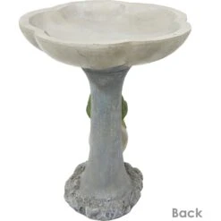 Sunnydaze Decor Polyresin Brooding Frog On Stone Outdoor Garden Bird Bath -Sunny Decor Shop 357791 PT6. AC SS1800 V1641941882