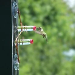 Sweet Feeders Geo Bird Feeder, Copper, 2 Station -Sunny Decor Shop 368065 PT5. AC SS1800 V1645745204