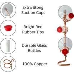 Sweet Feeders Modern Window Bird Feeder -Sunny Decor Shop 368068 PT2. AC SS1800 V1645742199