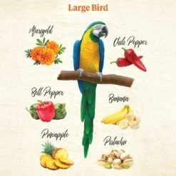 Kaytee Food From The Wild Medley Med & Large Pet Bird Treats, 3-oz Bag -Sunny Decor Shop 368873 PT3. AC SS1800 V1644917222