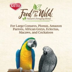 Kaytee Food From The Wild Medley Med & Large Pet Bird Treats, 3-oz Bag -Sunny Decor Shop 368873 PT5. AC SS1800 V1644912417