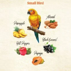 Kaytee Food From The Wild Medley Small Pet Bird Treats, 3-oz Bag -Sunny Decor Shop 368875 PT3. AC SS1800 V1644917801