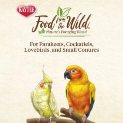 Kaytee Food From The Wild Medley Small Pet Bird Treats, 3-oz Bag -Sunny Decor Shop 368875 PT5. AC SS1800 V1644912749