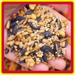 Better Bird Squirrel Away Bird Food, 5-lb Bag -Sunny Decor Shop 370405 PT2. AC SS1800 V1651178850
