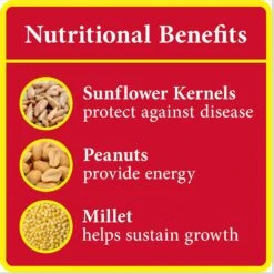 Better Bird Squirrel Away Bird Food, 5-lb Bag -Sunny Decor Shop 370405 PT4. AC SS1800 V1651542707