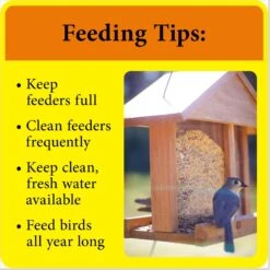 Better Bird Zero-Waste Bird Food, 5-lb Bag -Sunny Decor Shop 370407 PT7. AC SS1800 V1657657436