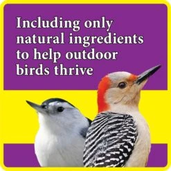 Better Bird Nut & Fruit Bird Food, 4-lb Bag -Sunny Decor Shop 370416 PT3. AC SS1800 V1657657437
