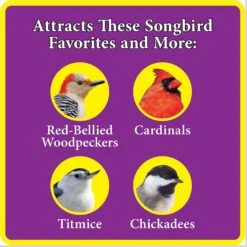 Better Bird Nut & Fruit Bird Food, 4-lb Bag -Sunny Decor Shop 370416 PT5. AC SS1800 V1657657437