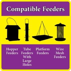 Better Bird Nut & Fruit Bird Food, 4-lb Bag -Sunny Decor Shop 370416 PT6. AC SS1800 V1651068711