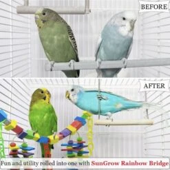 SunGrow Large Hammock Swing For Parrot & Cockatiel, Bridge Blocks Bird Toy -Sunny Decor Shop 371293 PT4. AC SS1800 V1691603919