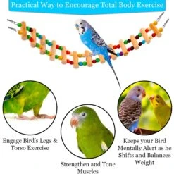 SunGrow Wooden Swing & Perch Parakeet & Budgie Ladder Bridge -Sunny Decor Shop 371295 PT2. AC SS1800 V1691601704