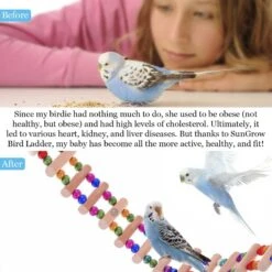 SunGrow Wooden Swing & Perch Parakeet & Budgie Ladder Bridge -Sunny Decor Shop 371295 PT3. AC SS1800 V1691604038