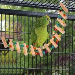 SunGrow Wooden Swing & Perch Parakeet & Budgie Ladder Bridge -Sunny Decor Shop 371295 PT4. AC SS1800 V1691606856