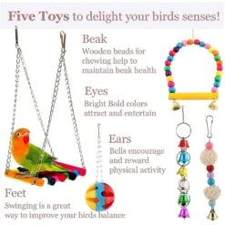 SunGrow Parakeet & Budgie Swing Toy & Hammock Set -Sunny Decor Shop 371297 PT2. AC SS1800 V1647640060