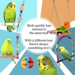 SunGrow Parakeet & Budgie Swing Toy & Hammock Set -Sunny Decor Shop 371297 PT3. AC SS1800 V1647637593