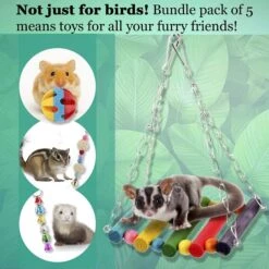 SunGrow Parakeet & Budgie Swing Toy & Hammock Set -Sunny Decor Shop 371297 PT4. AC SS1800 V1647639232