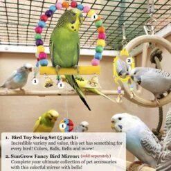 SunGrow Parakeet & Budgie Swing Toy & Hammock Set -Sunny Decor Shop 371297 PT5. AC SS1800 V1647640030