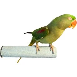 Polly's Pet Products Pastel Bird Perch, Blue -Sunny Decor Shop 504114 PT1. AC SS1800 V1670016068