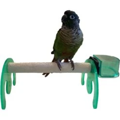 Polly's Pet Products Mini Bird Stand, Green -Sunny Decor Shop 504258 PT1. AC SS1800 V1667331341