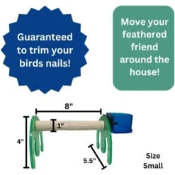 Polly's Pet Products Mini Bird Stand, Green -Sunny Decor Shop 504258 PT2. AC SS1800 V1680639757