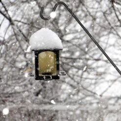 Ashman Deck Hook, 49-in -Sunny Decor Shop 515262 PT4. AC SS1800 V1649339233