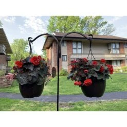 Ashman Shepherds Hook, 65-in 8 Ashman Shepherds Hook, 65-in -Sunny Decor Shop 515294 PT1. AC SS1800 V1649341902