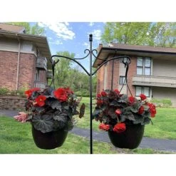 Ashman Small Adjustable Shepherds Hook With Twin Hooks, 91-in -Sunny Decor Shop 515334 PT2. AC SS1800 V1649352082