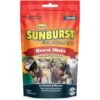 Higgins Sunburst Gourmet Treats Boca Nuts Macaw & Parrot Bird Treats, 5-oz Bag -Sunny Decor Shop 518766 MAIN. AC SS1800 V1682626595