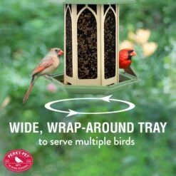 Perky-Pet Pistachio Gazebo Bird Feeder, Green, 3.5-lb -Sunny Decor Shop 533334 PT4. AC SS1800 V1657658634