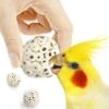 SunGrow Parrot Sola Atta Shred Foraging & Foot Chew Ball, Sunflower Seed Holder, Teeth Grinding For Hamster 1 SunGrow Parrot Sola Atta Shred Foraging & Foot Chew Ball, Sunflower Seed Holder, Teeth Grinding For Hamster -Sunny Decor Shop 533486 MAIN. AC SS1800 V1660857504
