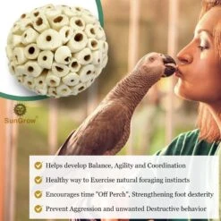 SunGrow Parrot Sola Atta Shred Foraging & Foot Chew Ball, Sunflower Seed Holder, Teeth Grinding For Hamster 10 SunGrow Parrot Sola Atta Shred Foraging & Foot Chew Ball, Sunflower Seed Holder, Teeth Grinding For Hamster -Sunny Decor Shop 533486 PT2. AC SS1800 V1661377677