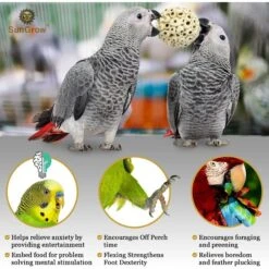 SunGrow Parrot Sola Atta Shred Foraging & Foot Chew Ball, Sunflower Seed Holder, Teeth Grinding For Hamster 11 SunGrow Parrot Sola Atta Shred Foraging & Foot Chew Ball, Sunflower Seed Holder, Teeth Grinding For Hamster -Sunny Decor Shop 533486 PT3. AC SS1800 V1679406743