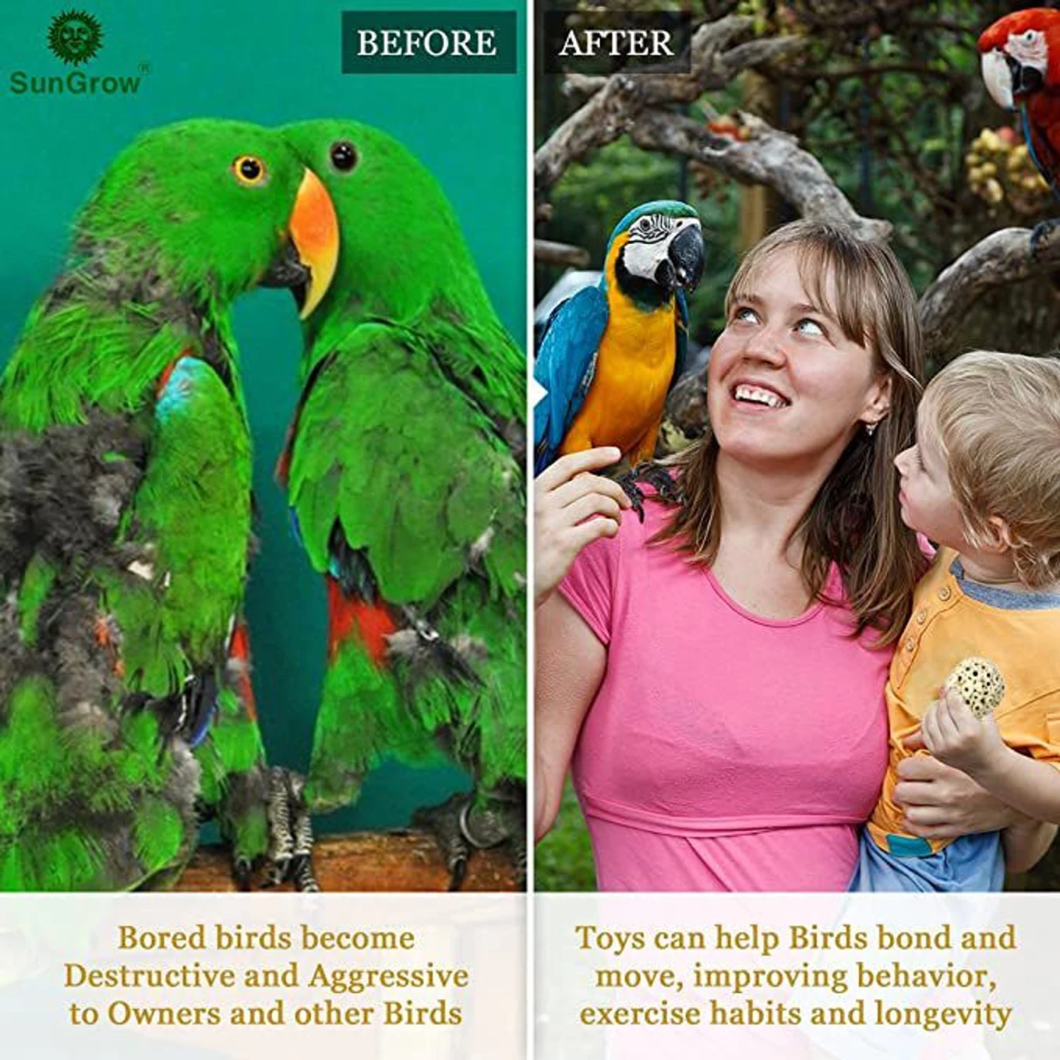 SunGrow Parrot Sola Atta Shred Foraging & Foot Chew Ball, Sunflower Seed Holder, Teeth Grinding For Hamster 7 SunGrow Parrot Sola Atta Shred Foraging & Foot Chew Ball, Sunflower Seed Holder, Teeth Grinding For Hamster - Image 5