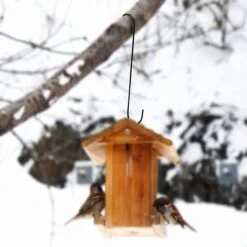 SunGrow S Hook Heavy Duty Metal Bird Feeder & Hanging Plant Holder, Black, 12-in, 2 Count -Sunny Decor Shop 533502 PT3. AC SS1800 V1703880892