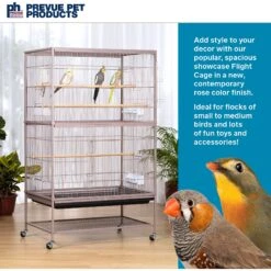 Prevue Pet Products Flight Bird Cage, Rose 12 Prevue Pet Products Flight Bird Cage, Rose -Sunny Decor Shop 536246 PT1. AC SS1800 V1652716613