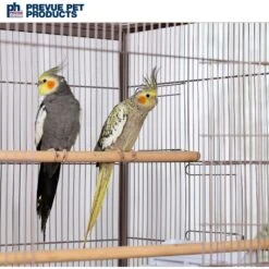 Prevue Pet Products Flight Bird Cage, Rose 18 Prevue Pet Products Flight Bird Cage, Rose -Sunny Decor Shop 536246 PT7. AC SS1800 V1657658796