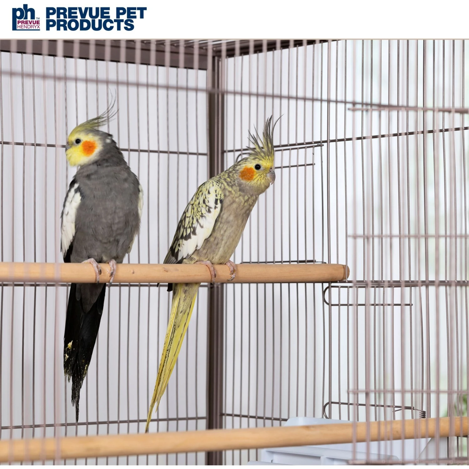 Prevue Pet Products Flight Bird Cage, Rose 10 Prevue Pet Products Flight Bird Cage, Rose - Image 8