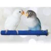 SunGrow Nail & Beak Trimmer Sand Coated Wooden Bird Perch Stand, Blue, 8-in -Sunny Decor Shop 579294 MAIN. AC SS1800 V1657660549