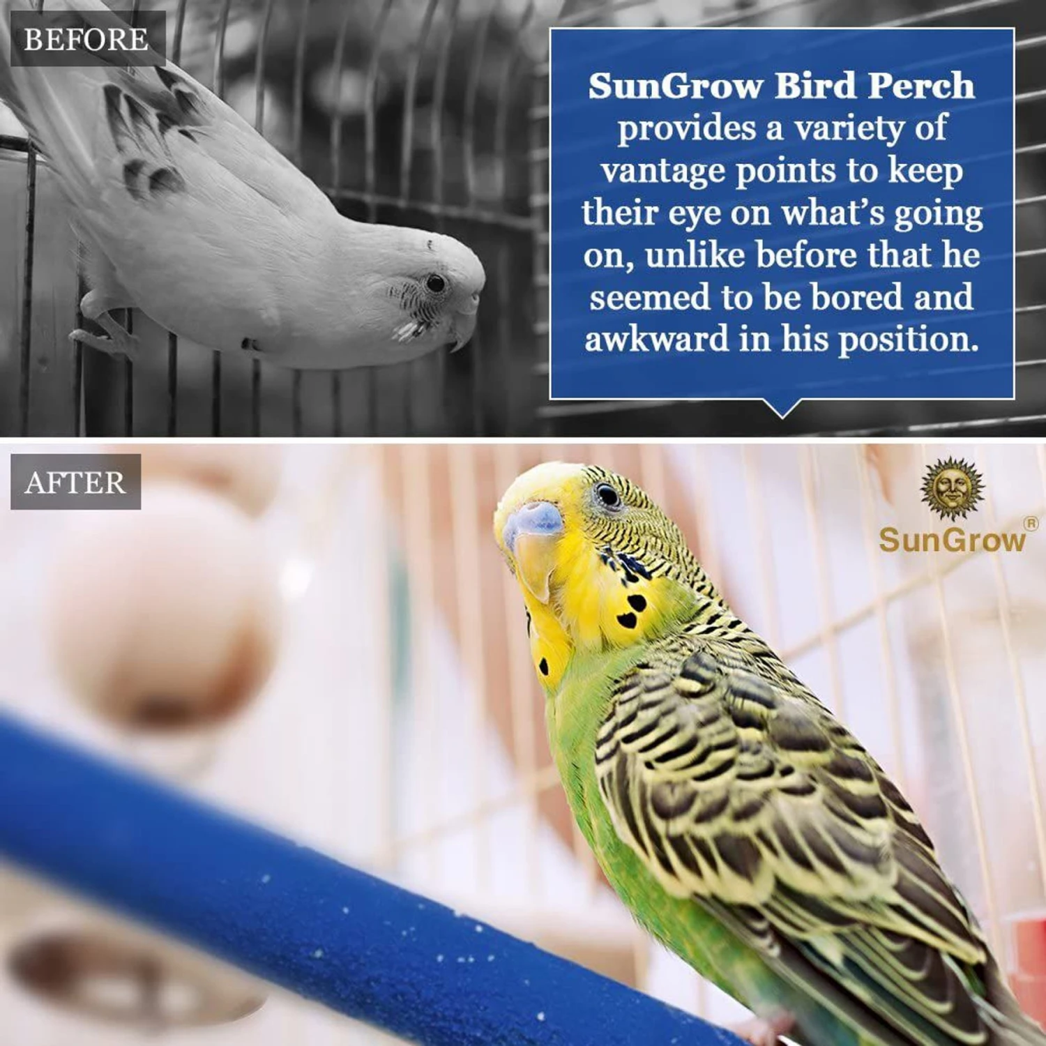 SunGrow Nail & Beak Trimmer Sand Coated Wooden Bird Perch Stand, Blue, 8-in 6 SunGrow Nail & Beak Trimmer Sand Coated Wooden Bird Perch Stand, Blue, 8-in - Image 4